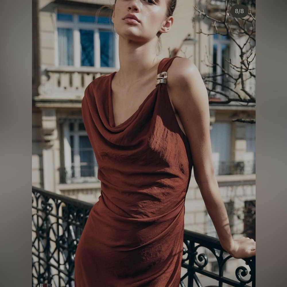 Zara Rust Dress